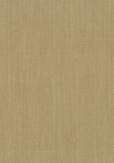 Osborne & Little - Pebble Colour F6214-06