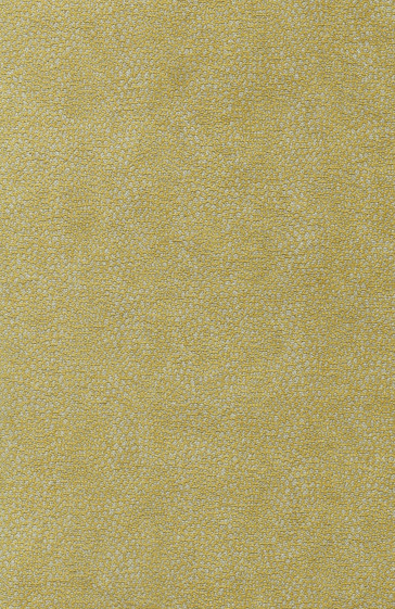 Osborne & Little - Oriole F6461-04