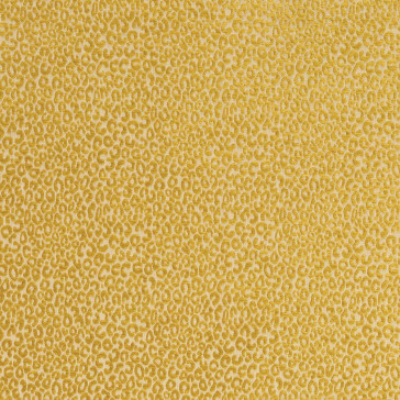 Matthew Williamson - Eden - Cheetah - F6532-06