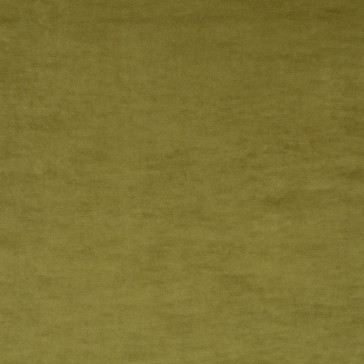 JAB Anstoetz - Champion 1-3114-032