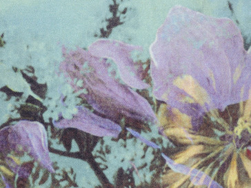 Jean Paul Gaultier - Botanique - 3459-01 Bleuet