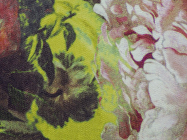 Jean Paul Gaultier - Botanique - 3459-02 Pollen
