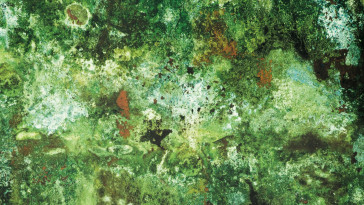 Jean Paul Gaultier - Vert De Gris - 3305-01 Jade