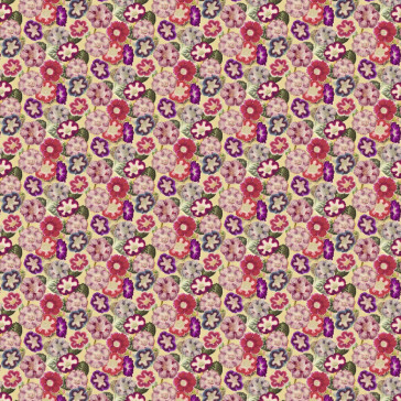 John Derian - Varietes De Gloxinia - FJD6001/01 Violet