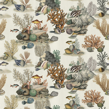 John Derian - Sea Life - FJD6014/01 Coral