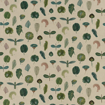 John Derian - A Leaf Study - FJD6017/01 Linen