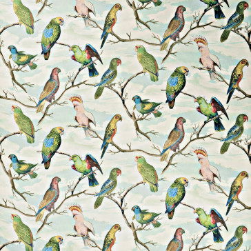 John Derian - Parrot Aviary - FJD6021/01 Sky Blue