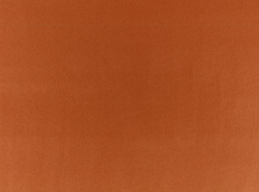 Kirkby Design - Still - K5297/14 Amber