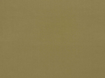 Kirkby Design - Smooth - Coriander K5000/47