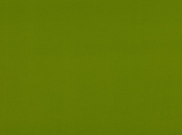 Kirkby Design - Dakota Suede II - Cactus K5018/79