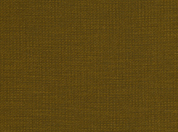 Kirkby Design - Loop - Harvest Gold K5042/37
