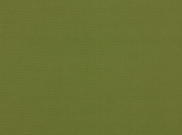 Kirkby Design - Canvas Washable - Cactus K5084/27