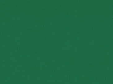 Kirkby Design - Ice - Grass K5159/34