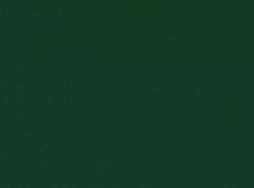 Kirkby Design - Ice - Forest K5159/35