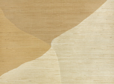 Kirkby Design - Studio Wall Mural - WK817/04 - Desert