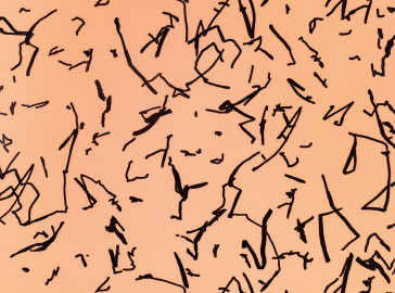 Kirkby Design - Scribble - WK824/06 - Amber