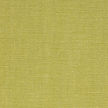 Larsen - Logan - Anis Green L8913-09