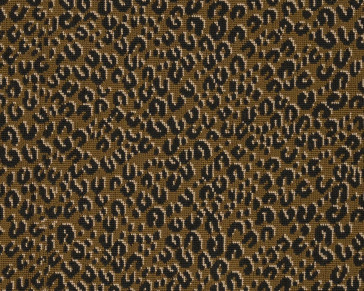 Le Manach - Serengeti - L4570001