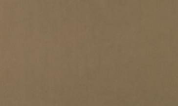 Lelievre - Fidji 531-19 Mastic