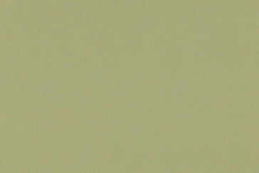 Lelievre - Fidji 531-26 Lichen