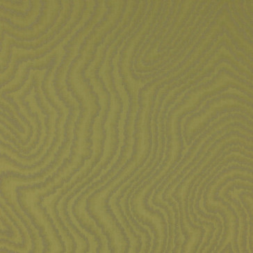 Manuel Canovas - Uma - 4958/03 Lichen