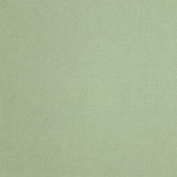 Manuel Canovas - Fabry - 4985/13 Lichen