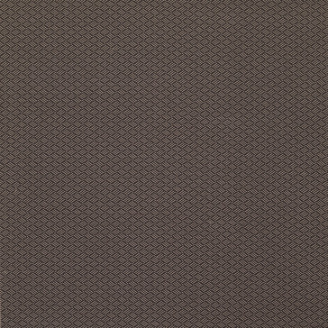 Lorca - Anopura - Vanini - MLF2246-04