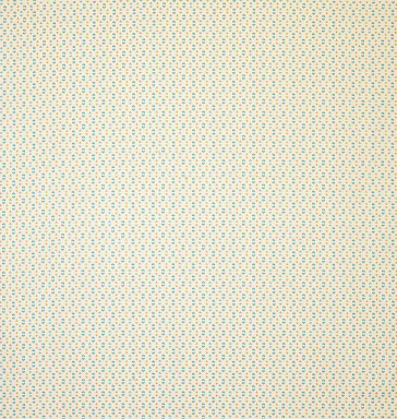 Nina Campbell - Biron - NCF4284-03