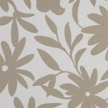 Nobilis - Nobilis - Bloom 10223-86