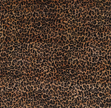 Osborne & Little - Pardus - F6713-02