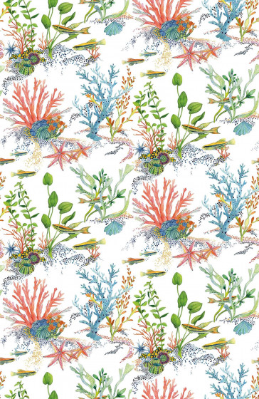 Osborne & Little - Coralline - W7682-01