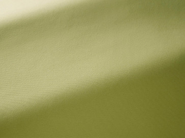 Pierre Frey - Toile mistral - F3522019 Absinthe
