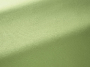 Pierre Frey - Toile mistral - F3522021 Pousse
