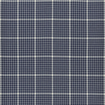 Ralph Lauren - Lost Coast Check - FRL2425/02 Indigo