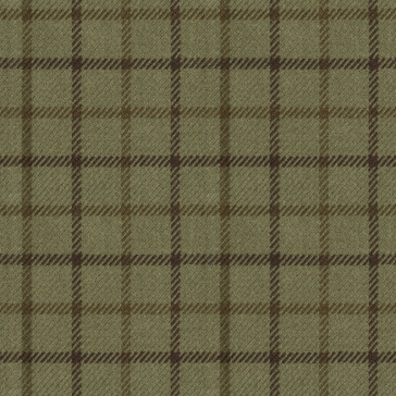 Ralph Lauren - Gauciel Tattersal - LFY19466F Green