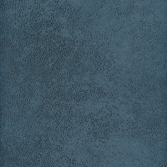 Élitis - Vintage leather - RM 790 45 La nuit de Noël