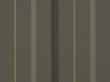 Romo - Hanbury - Cactus 7418/04