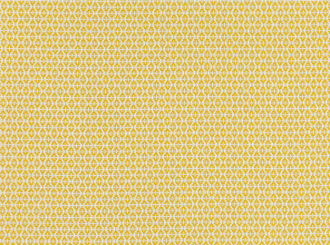 Romo - Ituri - 7888/04 Maize