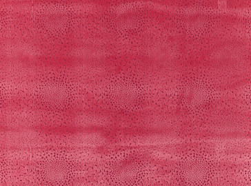 Villa Nova - Pinto - V3094/15 Carmine