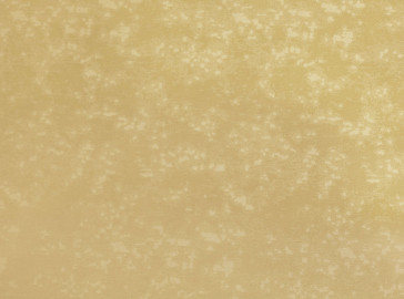 Villa Nova - Loess - V3407/02 Gold