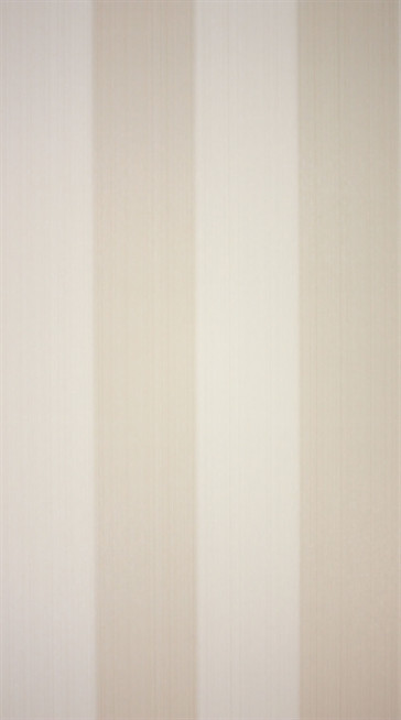 Osborne & Little - O&L Wallpaper Album 5 - Spenser W5723-02