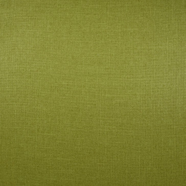 Wind - Bamboo - 3B Grün