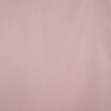 Wind - Muscat - 14 Rosa/Violett