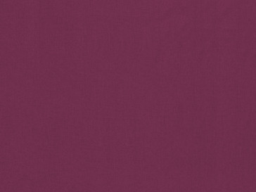 Zimmer + Rohde - Focus - 10650/437