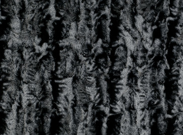 Zinc - Baxter - Jet Z342/01