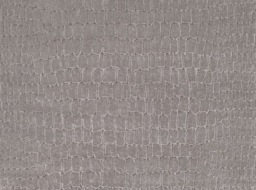 Zinc - Caiman - Silver Grey Z515/03