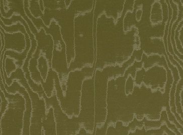 Zinc - Athne - Z582/09 - Kiwi