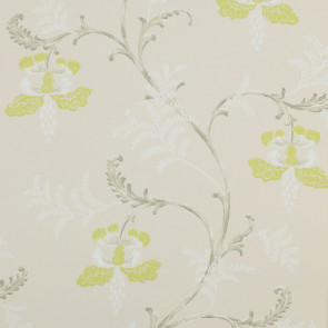 Colefax and Fowler - Messina - Bellflower 7127/02 Lime