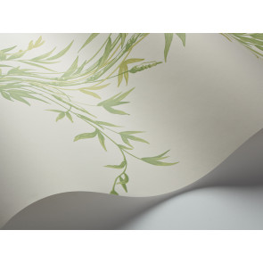 Cole & Son - Archive Anthology - Bamboo 100/5023