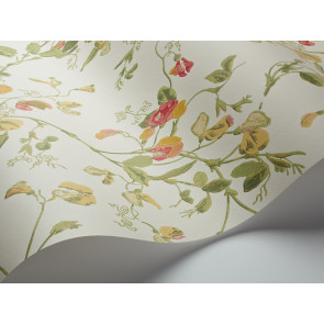 Cole & Son - Archive Anthology - Sweet Pea 100/6027
